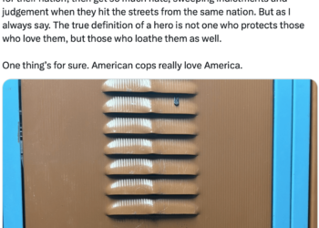 American Cops Really Love America. – Law Officer